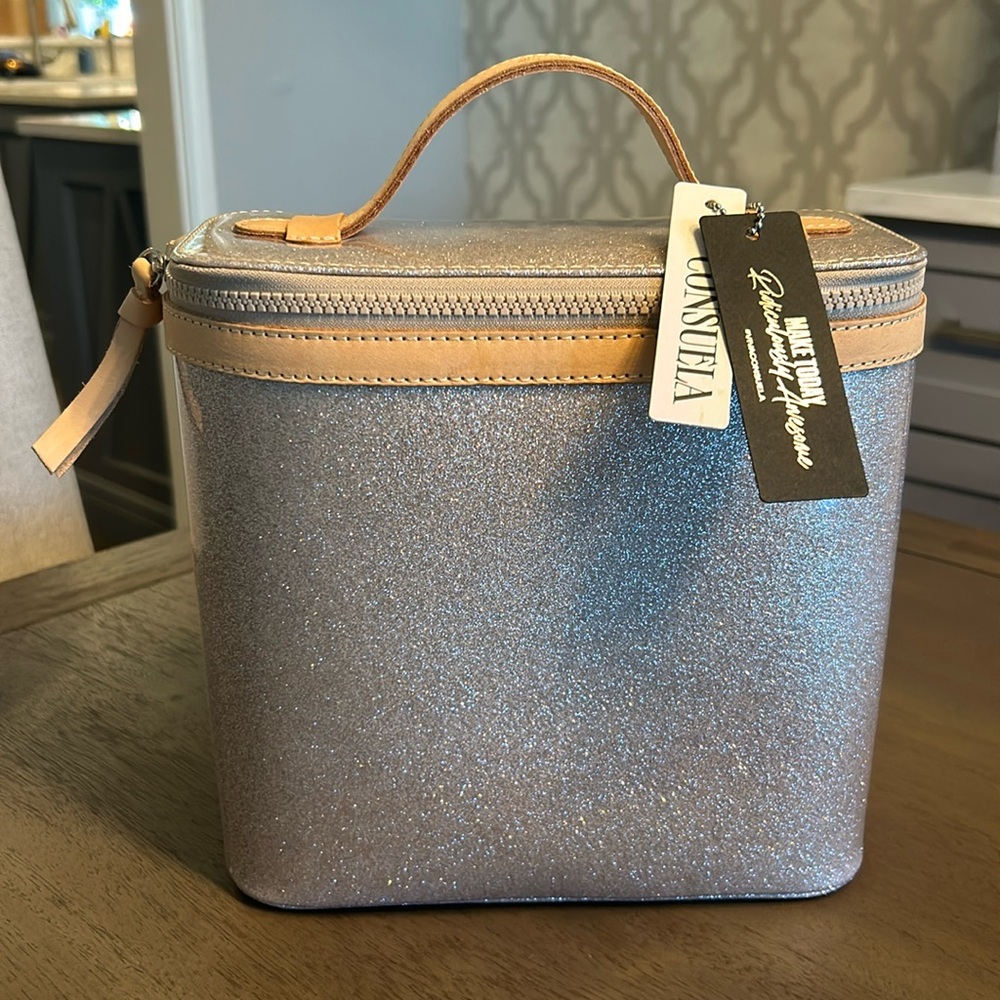 NWT New Consuela Violet Slim Train Case